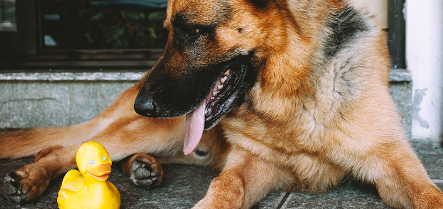 Exercise for Fun and Health