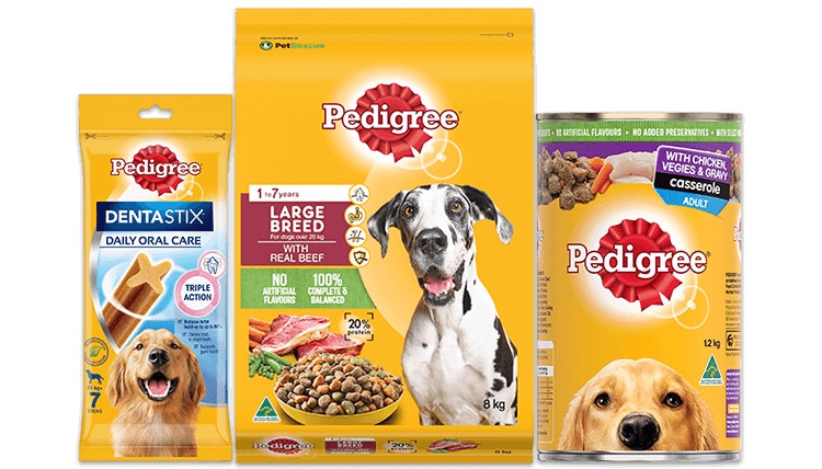 Landing hero large dog