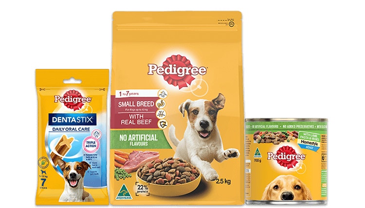 Landing hero small dog