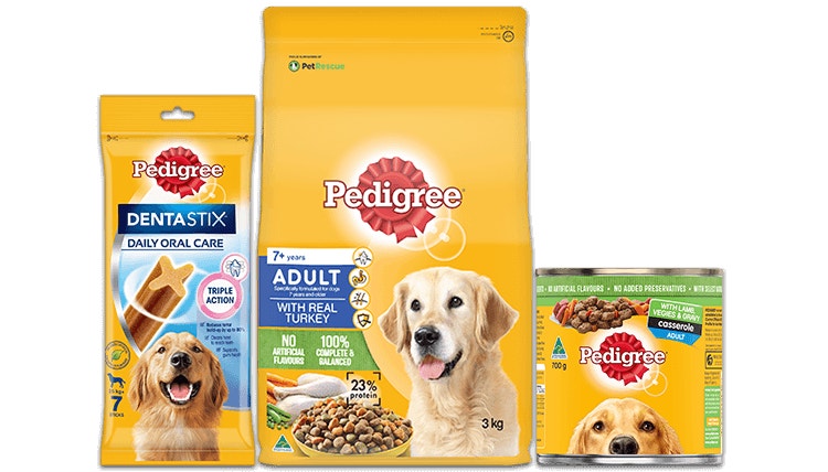 Landing hero for Seniors