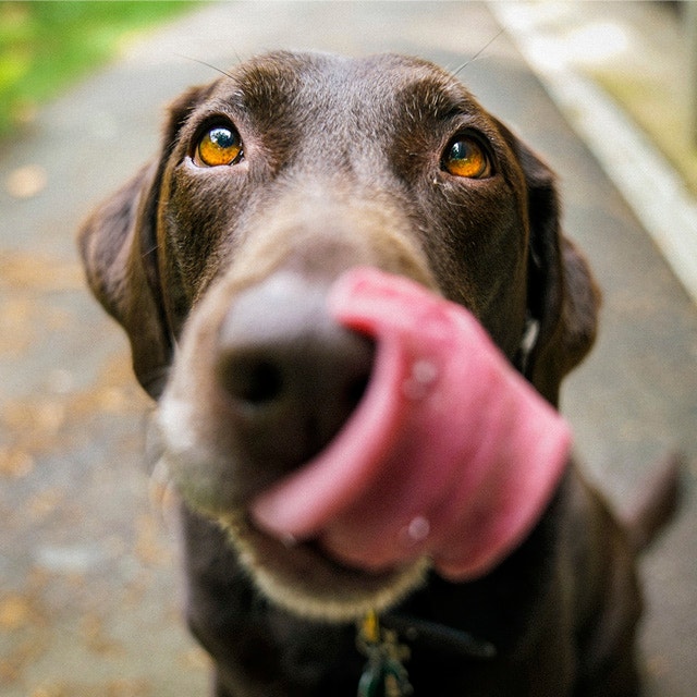 Ped M3 - Air Lick - Blog 640x640 (1).jpg