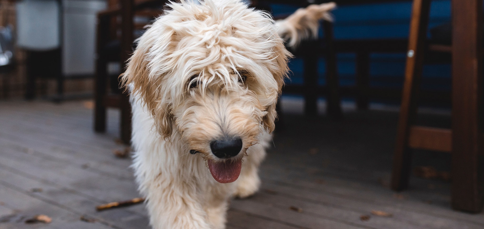 Ped M7 - How Much Food caleb-woods-unsplash