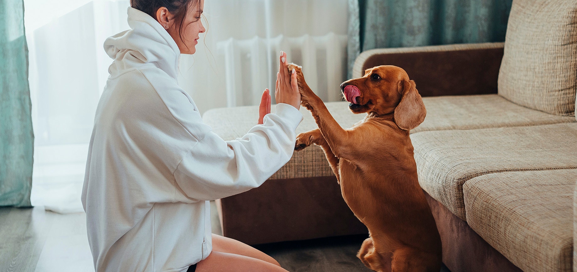 Ped M9 - Basic Tricks pexels Ivan Babydov